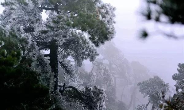 尽享马伊琍首谈和文章的离婚:吵架时被他三个字说到痛处,文章到底说了啥?知识星球,轻松获取独家专业内容